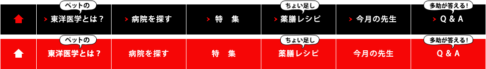 トップページ