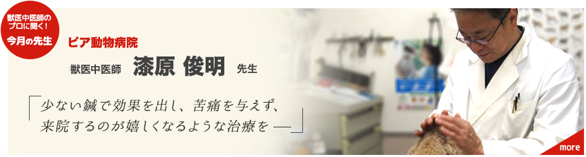 第4回｜オンペットクリニック　獣医中医師・大塚菜美恵