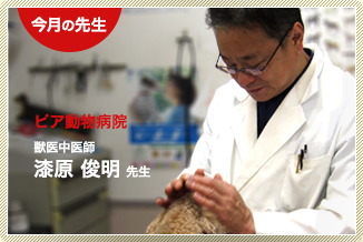 今月の先生：オンペットクリニック　中医獣医師・大塚菜美恵