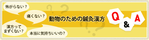 動物のための鍼灸漢方Q&A