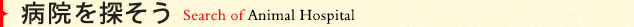 病院を探そう　Search of Animal Hospital