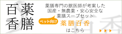 薬膳百香