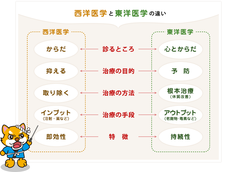西洋医学と東洋医学の違い
